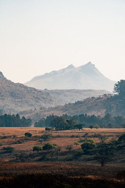Mlilwane Wildlife Sanctuary Landscape eSwatini Africa by Suzanne Spijkers