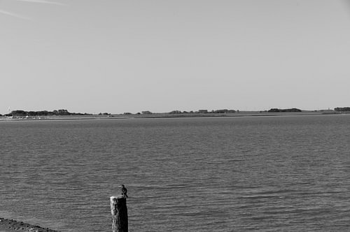 Pictures of Spiekeroog, an East Frisian island in the North Sea.