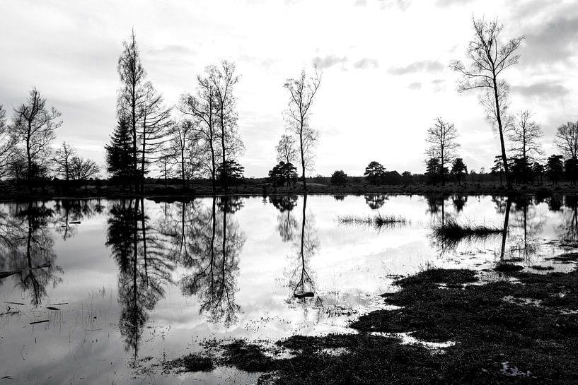 Drents meer in de winterperiode. von Aukelien Philips