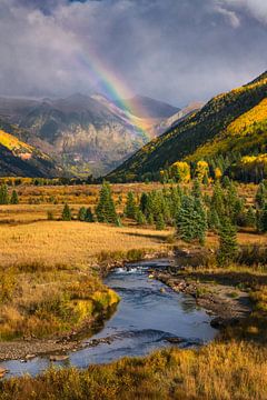 Telluride Regenboog Foto - Herfstfoto van San Juan Mountains - Gouden Delights van Daniel Forster