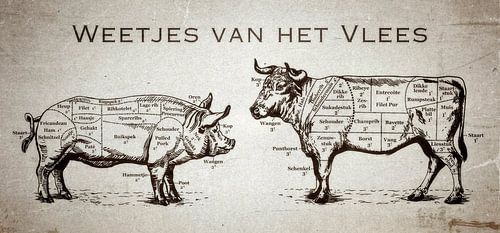 Wissenswertes über Fleisch