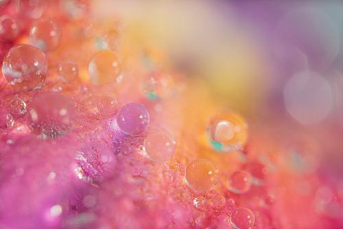 Colourful nature – Drops resting on a petal by Marjolijn van den Berg