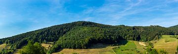 Germany, XXL panorama of untouched nature in black forest by adventure-photos