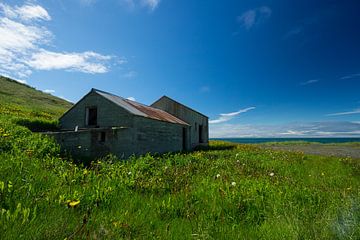 Islande - Vieille grange sur un champ vert avec ciel bleu et océan derrière sur adventure-photos