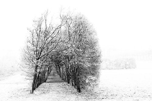 Berceau "De Groene Bedstee"