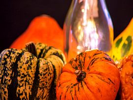 CONCEPT AUTOMNE : DES CITROUILLES EN OCTOBRE sur Photoart-Naegele