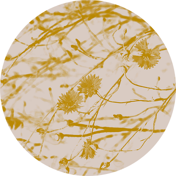 Korenbloemen in goudgeel en wit. Retro stijl. van Dina Dankers