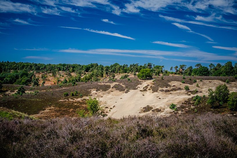 View over the Posbank by Martijn van den Hil