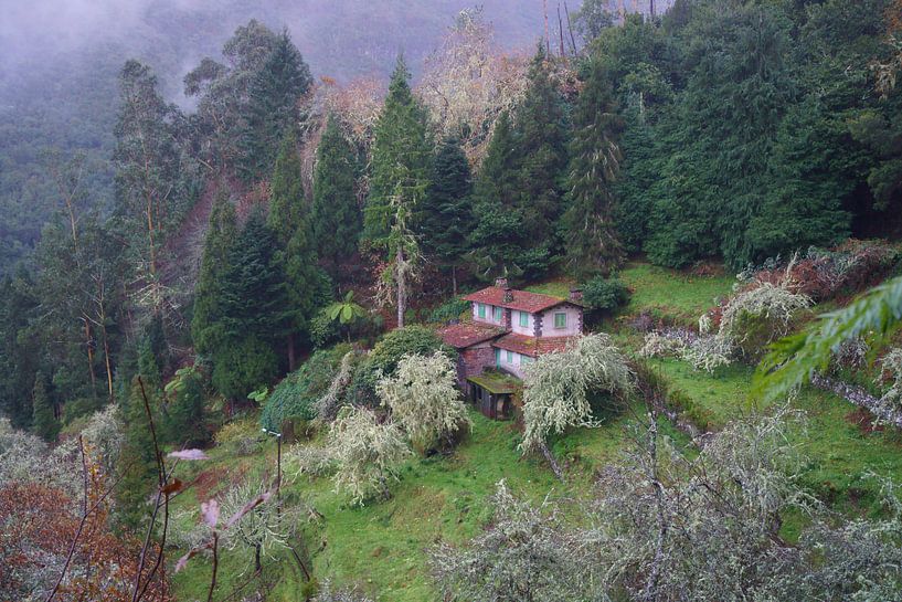 Huis in het bos by Michel van Kooten