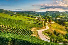 Kurvenreiche Straße durch die Weinberge der Langhe in der Nähe von Alba, Italien von Stefano Orazzini