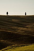 Toscaanse symmetrie