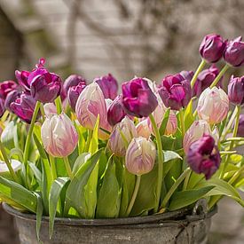 Tulips in a zinc bucket in the garden by Patricia Hofmeester