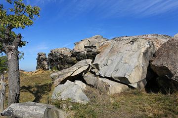 Die Teufelsmauer zwischen Neinstedt und Weddersleben im Harz von Karina Baumgart