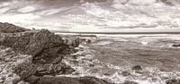 kustlijn Hermanus Zuid Afrika van Eric van den Berg thumbnail