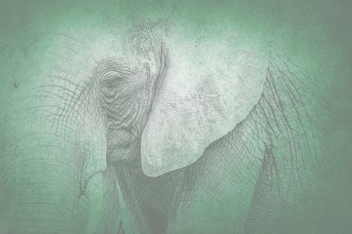 Groene Harmonie Olifant in een Rustgevende Pastelomgeving