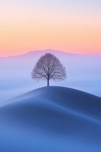 Boom op mistige heuvel