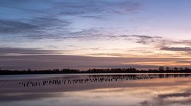Sunrise Vinkeveen Botshol! by Peter Haastrecht, van