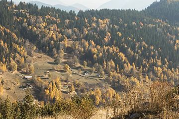 Kleurrijk herfstbos in de bergen van Boge, Kosovo van Besa Art