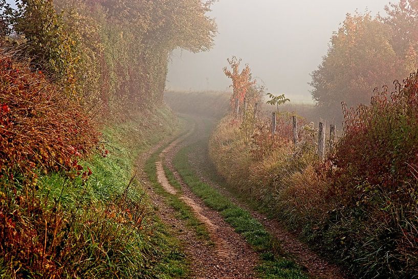 Foggy sunrise on a cold autumn day by Rob Boon