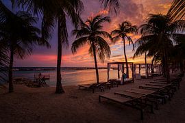 Reves caraibes au coucher du soleil a Curacao sur Edwin Mooijaart