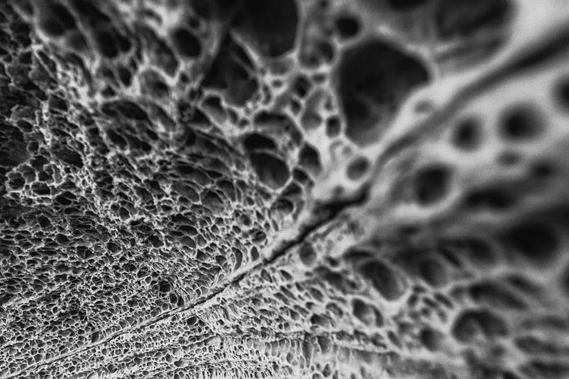 Tafoni structuur in de rotsen op Elgol Beach Isle of skye Schotland van Gerwald Harmsen
