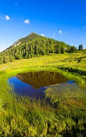 Der Lackenkogel in der Spiegelung von Christa Kramer