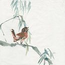 Russet Sparrow, Chris Paschke von Wild Apple Miniaturansicht