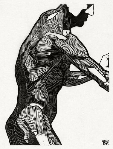 anatomie man met spieren, Reijer Stolk