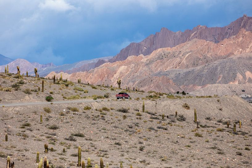 Berglandschap tussen Salta en San Antonio de los Cobres van Jolanda van Eek en Ron de Jong