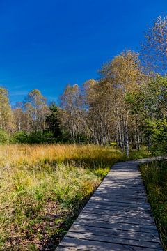 Onderweg in het Nationaal Park Rhön van Oliver Hlavaty