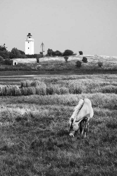 Pferd und Leuchtturm von Jörg Hausmann