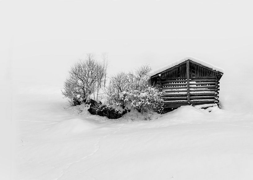 Barn in snow by Alex Neumayer