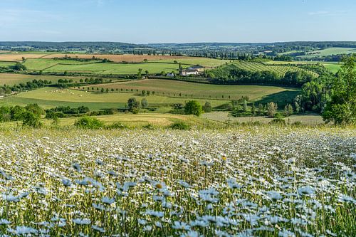 Uitzicht op de Eyserhalte en Eyser heuvelrug