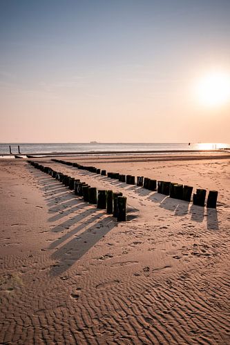 Strandpalen in Gouden Zonlicht Structuur en Rust aan Zee