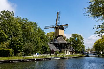 Windmill Het Haantje in Weesp, Netherlands