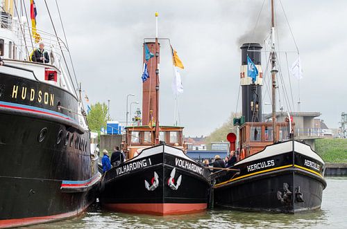 Sleepboten Hudson, Volharding en Hercules in haven Maassluis