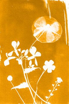 Ochre Yellow Flowers