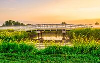 GroenBlauwe zone in Moordrecht van Edgar Seedorf thumbnail