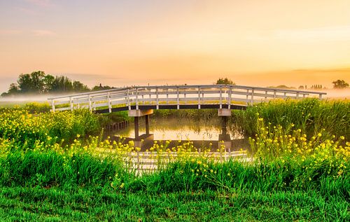 GroenBlauwe zone in Moordrecht