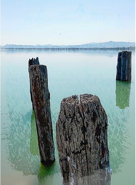 Oude houten bootpalen van Dorothy Berry-Lound
