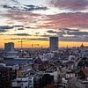 La silhouette d'Anvers sous un ciel matinal coloré sur Daan Duvillier | Dsquared Photography