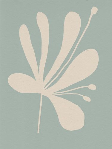 Jardin botanique. Feuille blanche sur sauge.