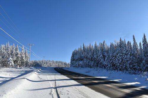 Een landweggetje in de winter onder een blauwe hemel