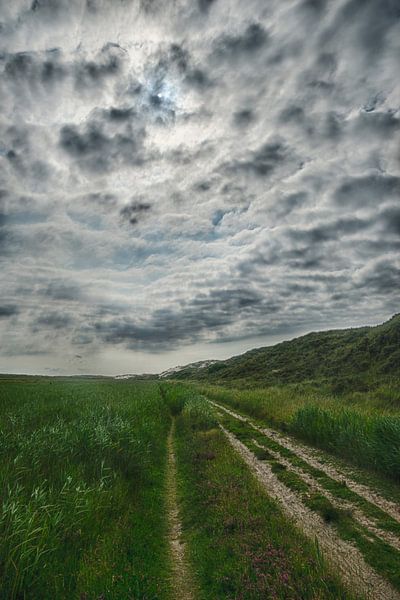 BoschplaatTerschelling von Waterpieper Fotografie