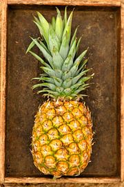 Pineapple by Froukje Smith
