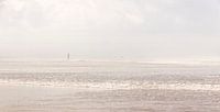 Enjoying the sea
