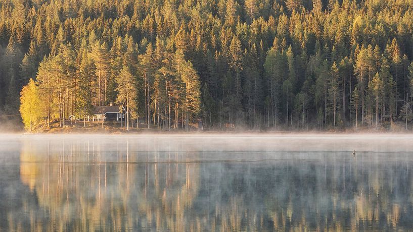 Morgenlatte in Norwegen von Marcel Kerdijk