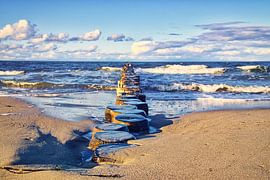 Buhnen am Stand von Zingst auf Fischland Darß. Die Buhnen ragen über das Meer in den Horizont hinein von Martin Köbsch