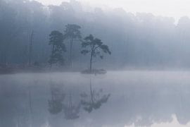 Morgennebel am See von Raoul Baart