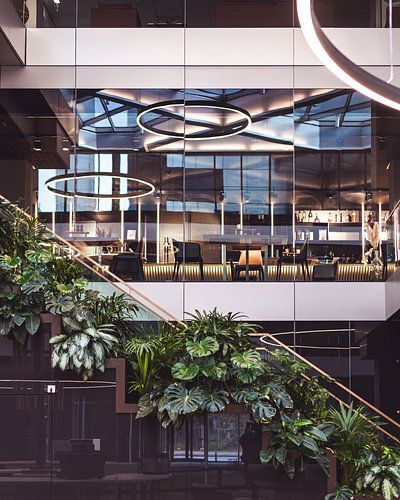 Architectural details Plants and staircase